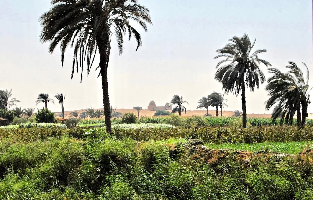 Fayoum Oasis landscape